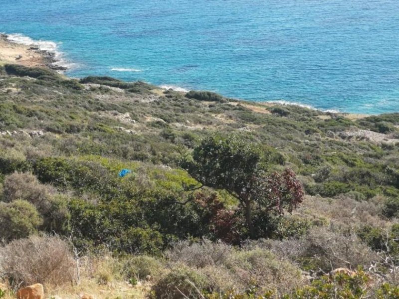 Plaka Elounda Kreta, Plaka Elounda: Baugrundstück mit atemberaubender Aussicht zu verkaufen Grundstück kaufen